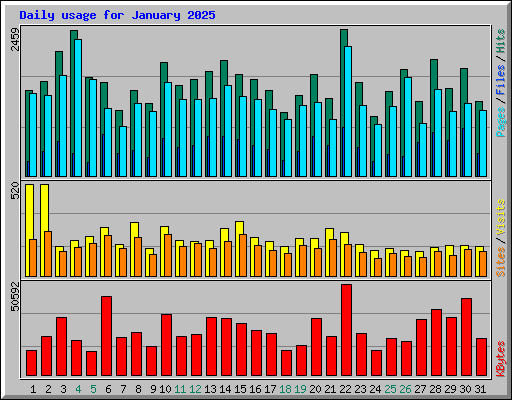 Daily usage for January 2025