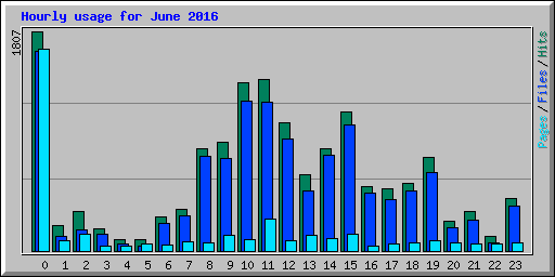 Hourly usage for June 2016