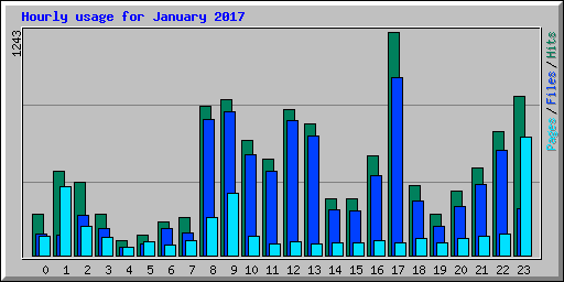 Hourly usage for January 2017