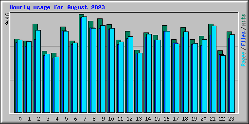 Hourly usage for August 2023