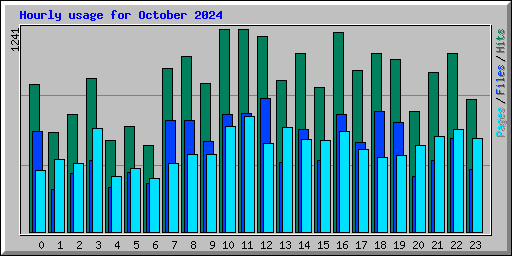 Hourly usage for October 2024