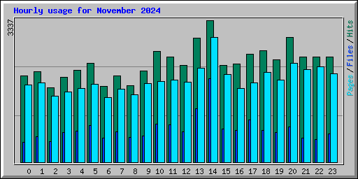 Hourly usage for November 2024