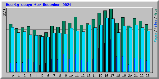 Hourly usage for December 2024