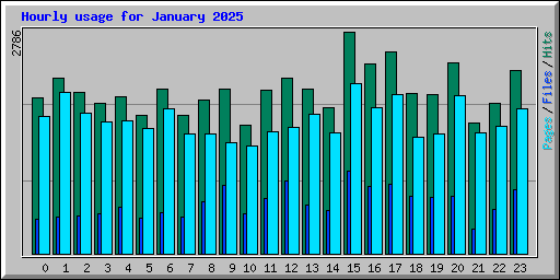 Hourly usage for January 2025