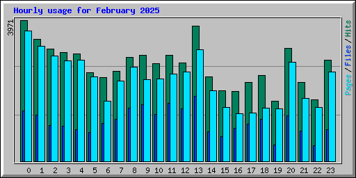 Hourly usage for February 2025