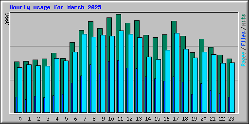 Hourly usage for March 2025