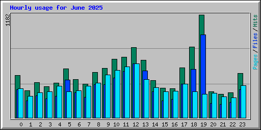 Hourly usage for June 2025
