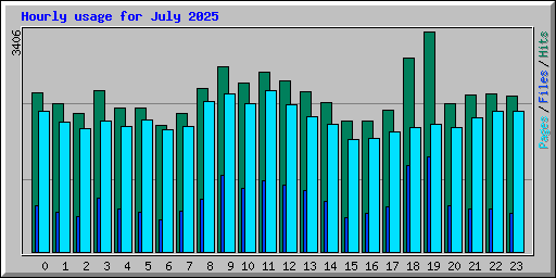 Hourly usage for July 2025