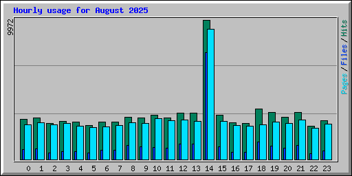 Hourly usage for August 2025