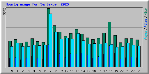 Hourly usage for September 2025