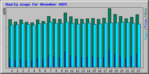Hourly usage for November 2025