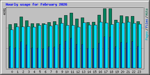 Hourly usage for February 2026